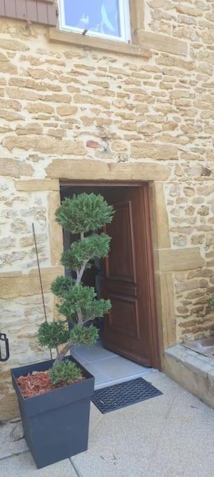 Le Gite Des Pierres Dorees Marcilly-d'Azergues Exterior foto